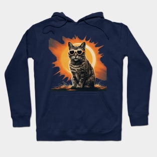 Cute Cat Wearing Solar Eclipse Glasses Hoodie